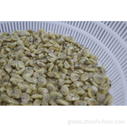 Frozen Short Neck Boiled Clam Frozen Seafood Frozen Short Neck Boiled Clam Manufactory